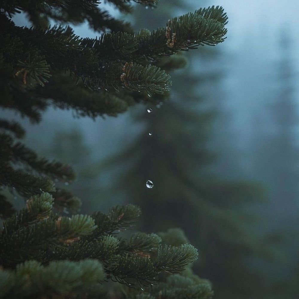 Thanks for visiting.